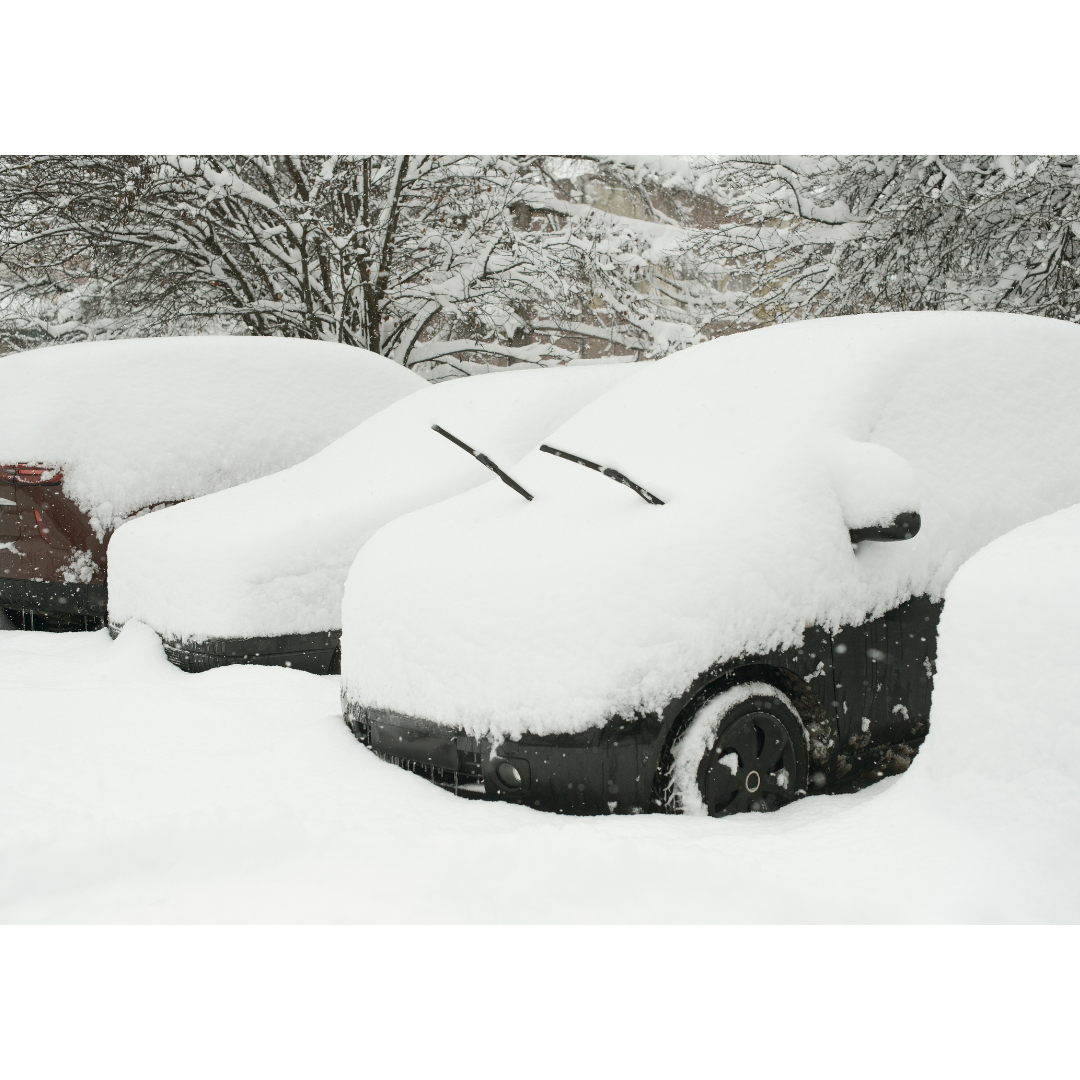 冬の札幌、降りやまない雪の中で