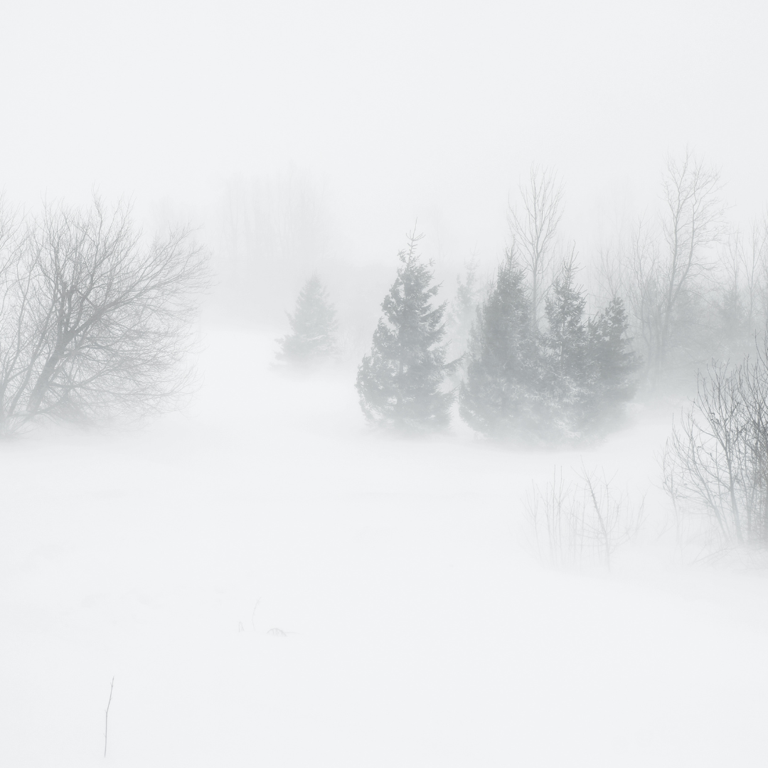 ホワイトアウトとご近所さん