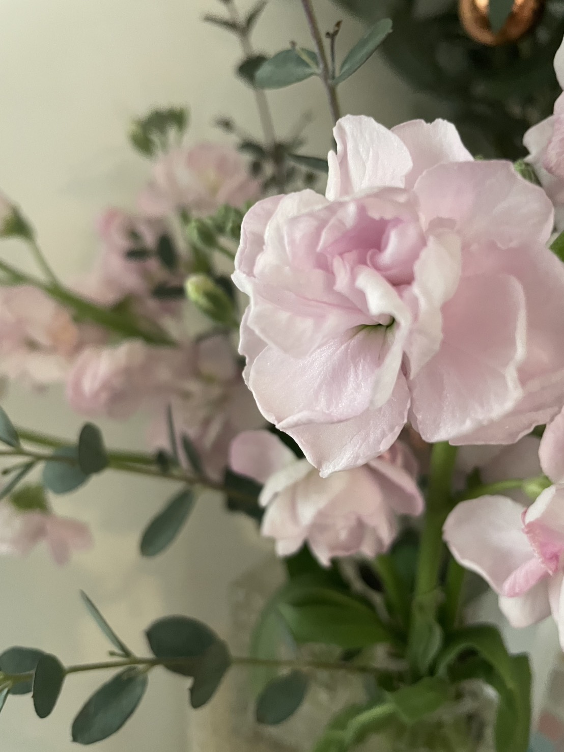 🌸「お花屋さんで見つけた春」🌸